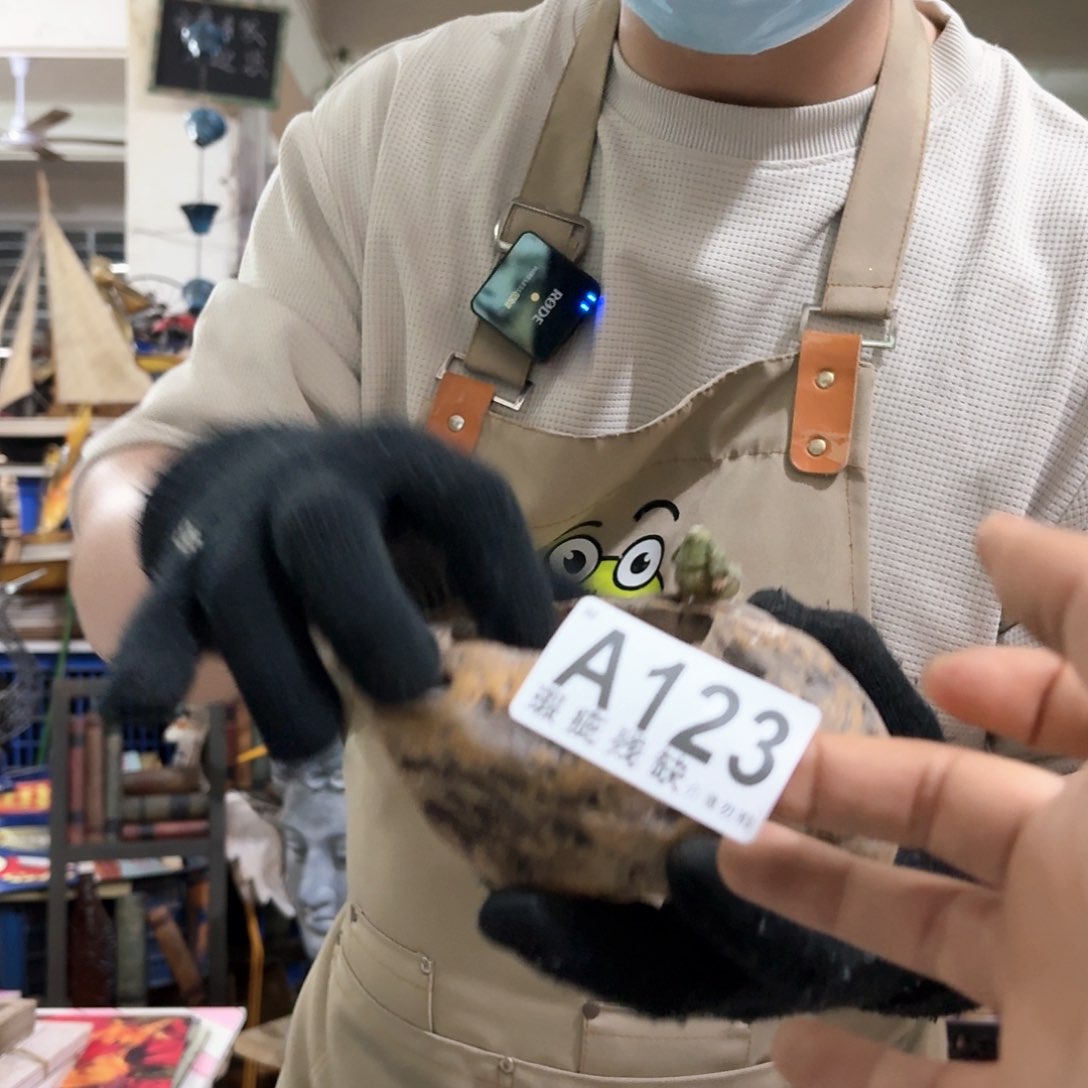 核桃木/黑胡桃（胡桃木）