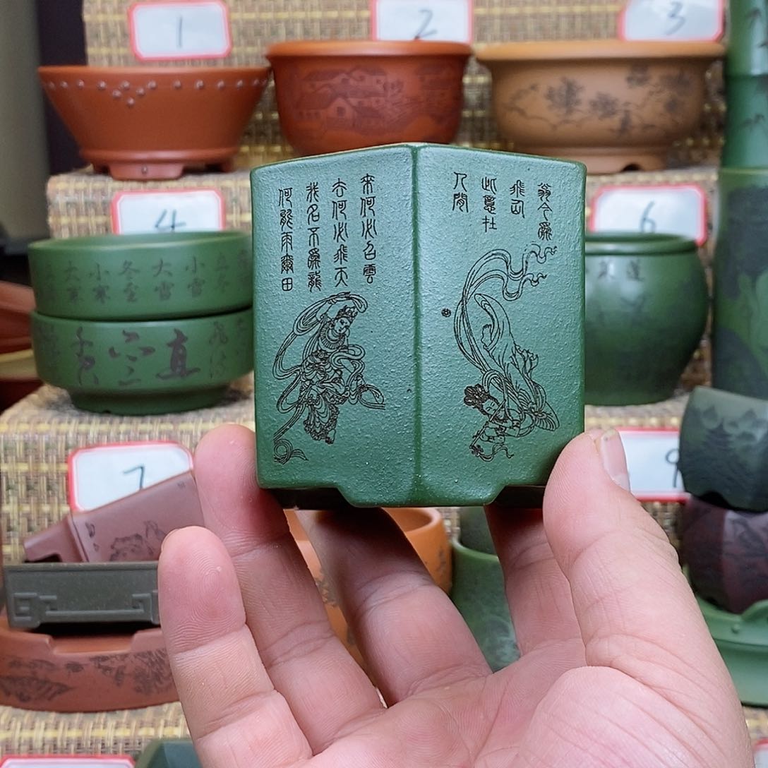 紫砂花盆我在等他