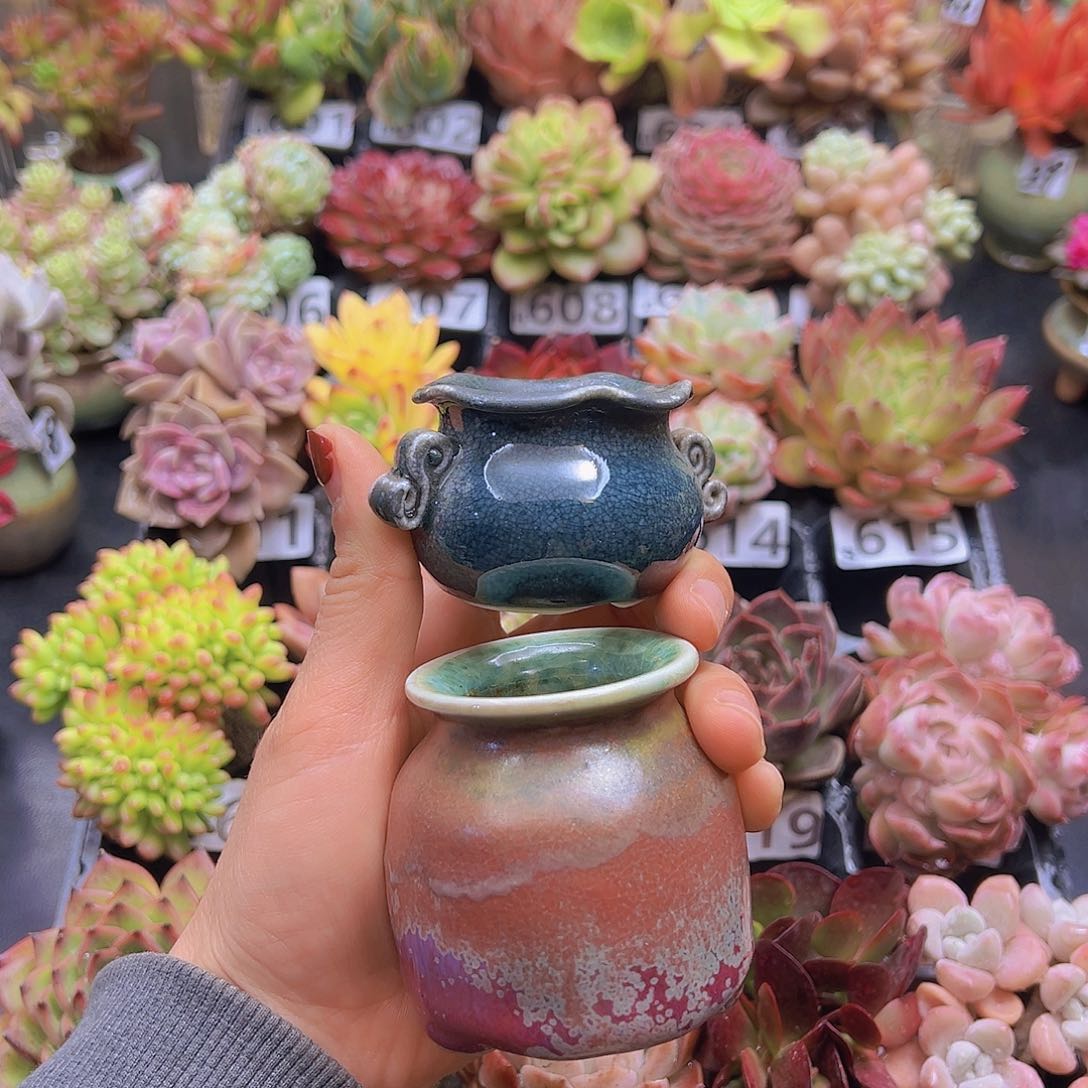 无铅玻璃猫*桃花钱花钱花钱花钱