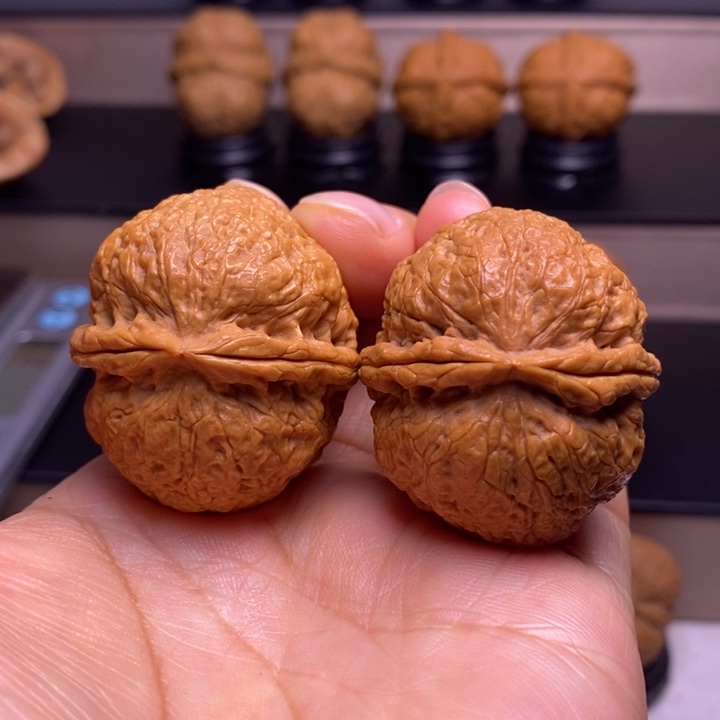 文玩核桃把件粗筋蚂蚁塔47