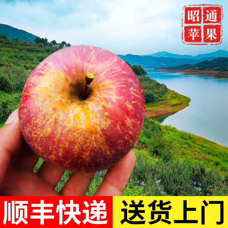 顺丰云南小苹果昭通高原丑苹果新鲜水果当季香脆甜冰糖心2.8-5斤 