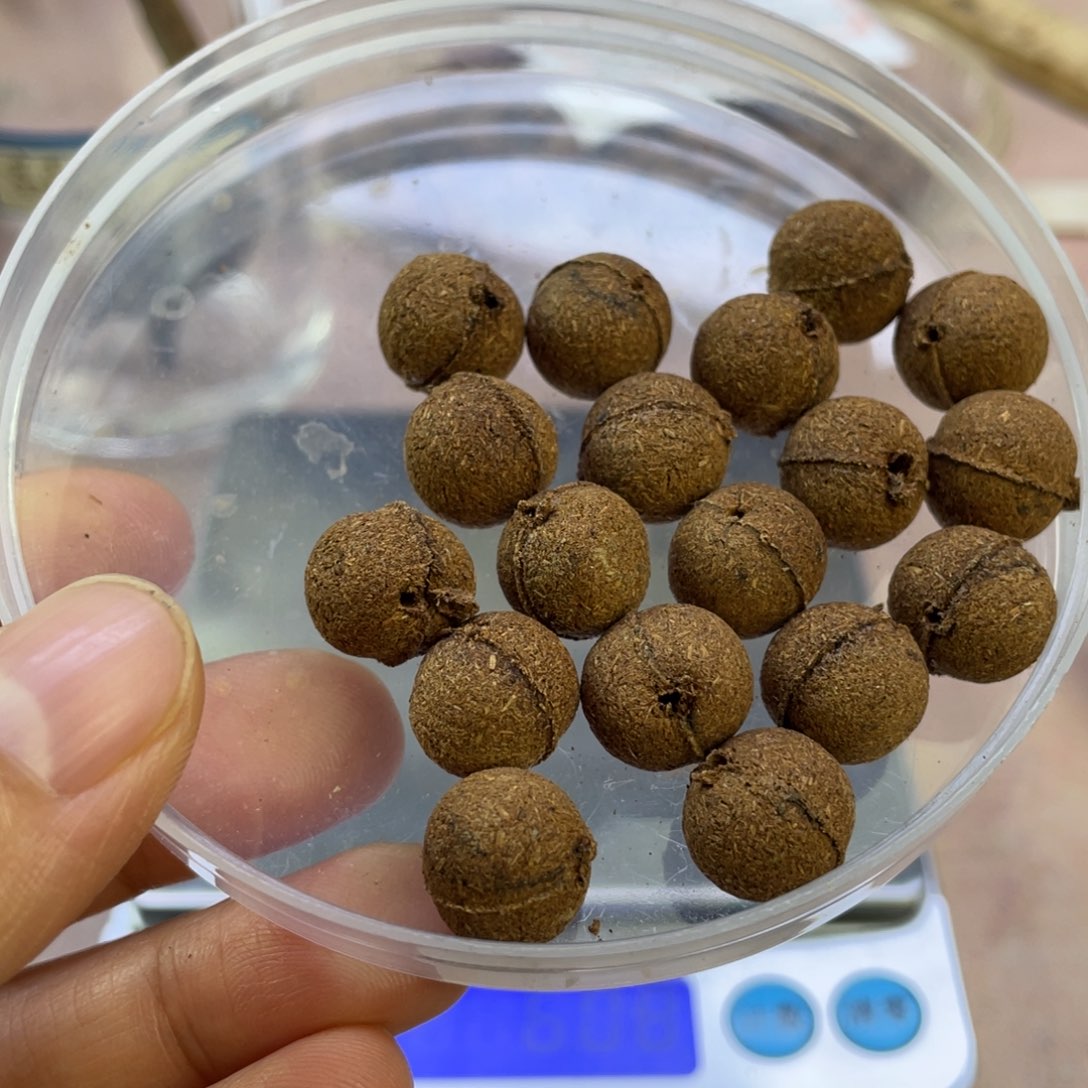 沉香沉香碎屑金三角黄Q玫瑰香珠9.5克