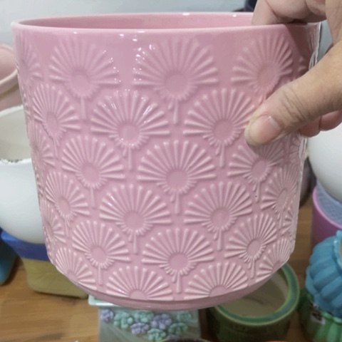 红陶陶瓷多肉花盆