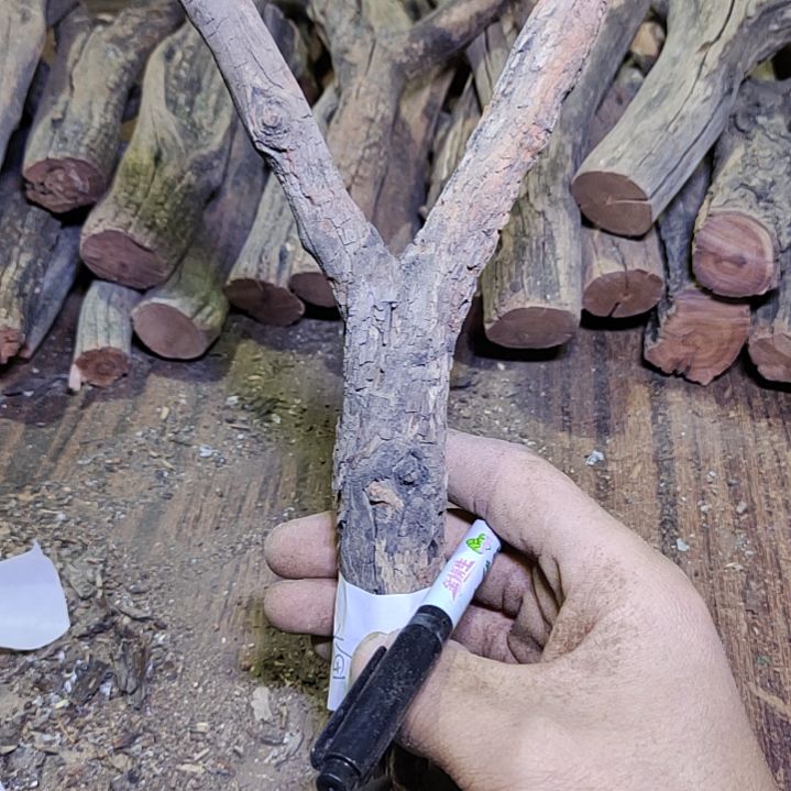 奋***B火琉璃原杈不保沉水慎拍！