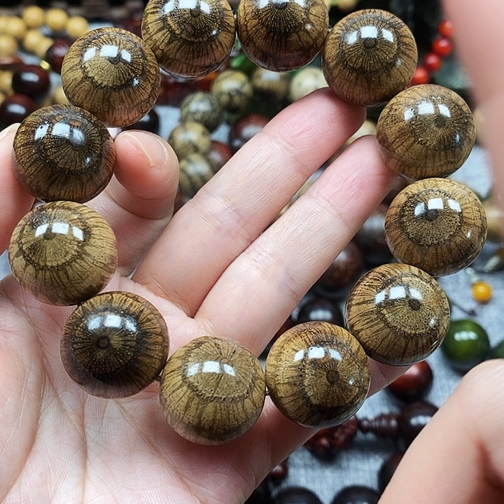 怪***人手串/手链藤类买麻藤