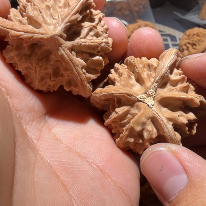 王***噻文玩核桃把件盘山公子帽正奔