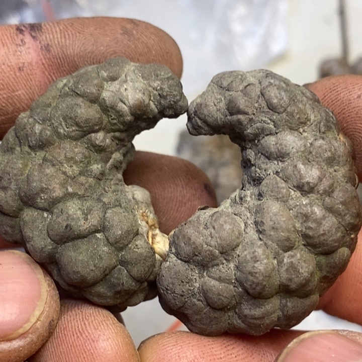 吊坠文玩核桃东北特产156