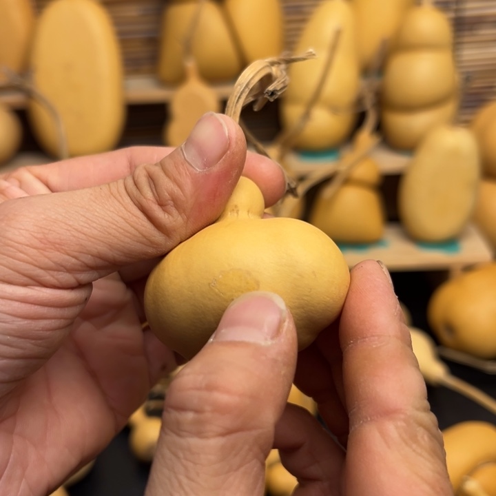 用****833666666699969999