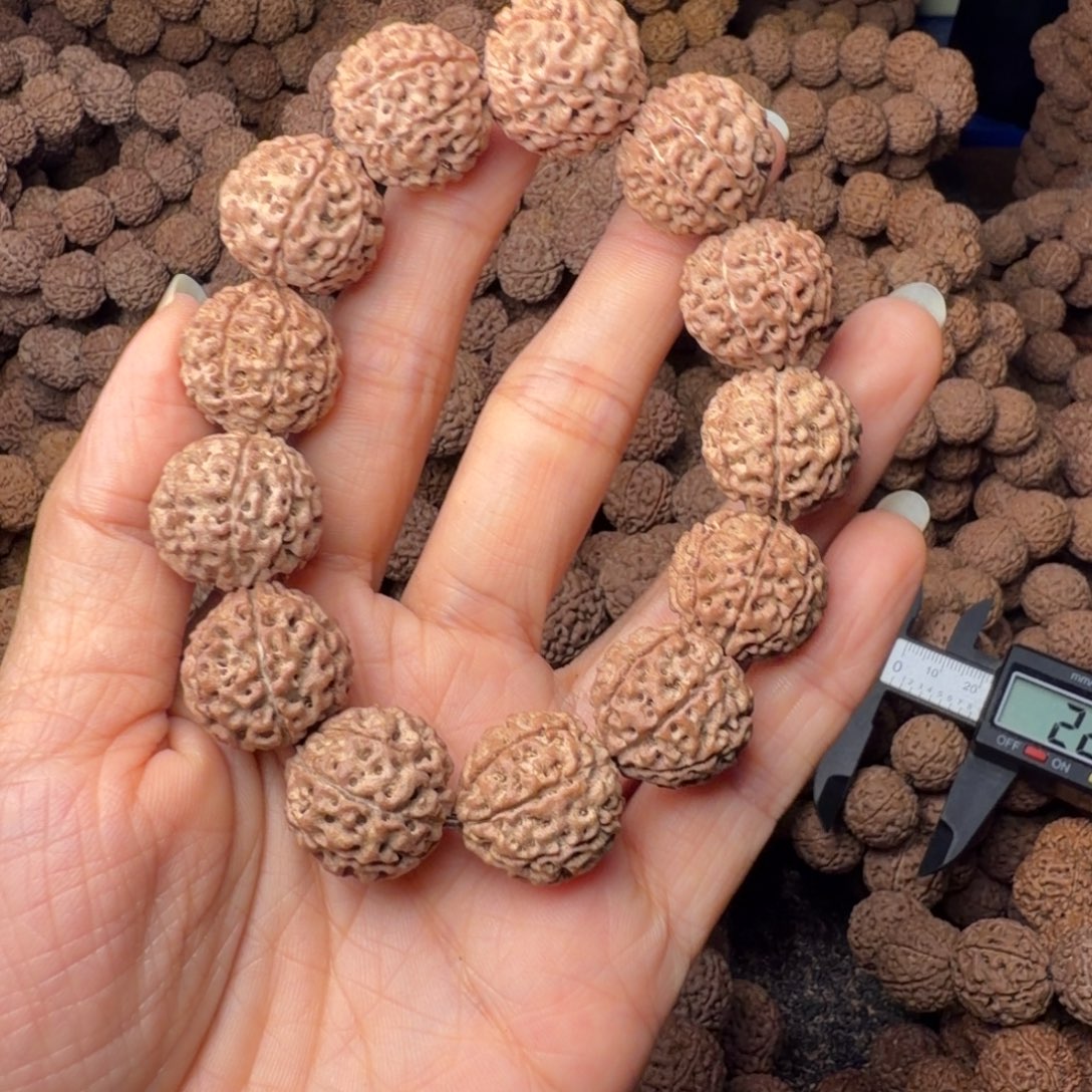 金刚菩提手串8瓣卡17尺，48号