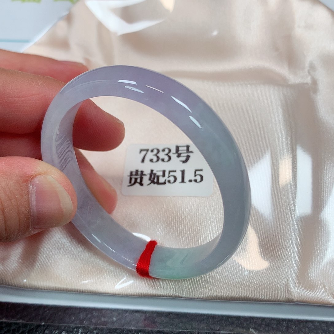 【闪购商品】未镶嵌手镯（贵妃镯）翡翠733号