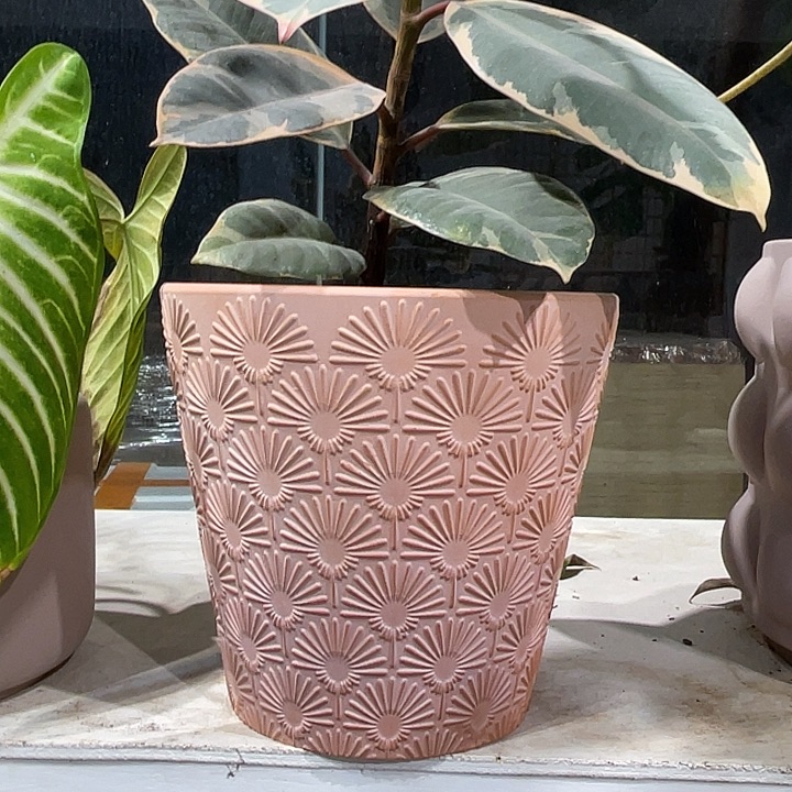 红陶17×17一个花盆