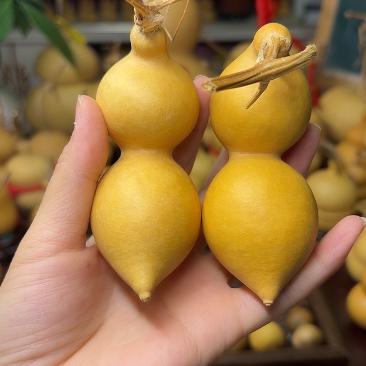 花****弓背蚂蚁精品葫芦