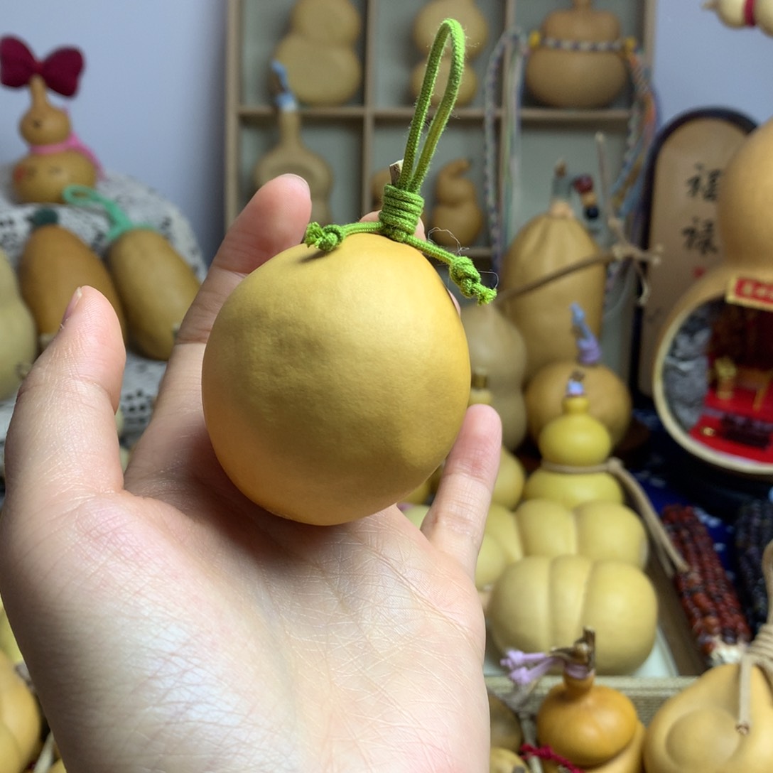 葫芦3号微抽百香果