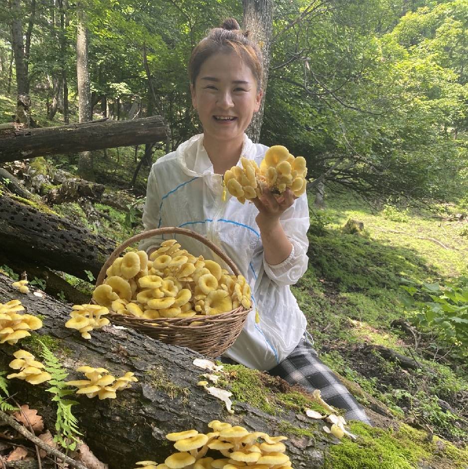 东北大山榆黄蘑干品（半斤起邮）