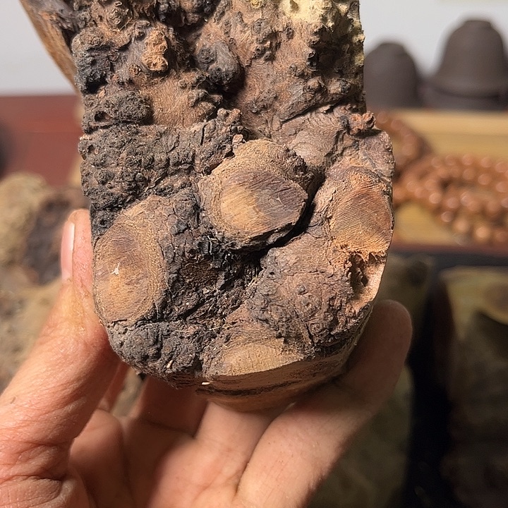 苗***哥香榧木我们的确是一个人的生活方式