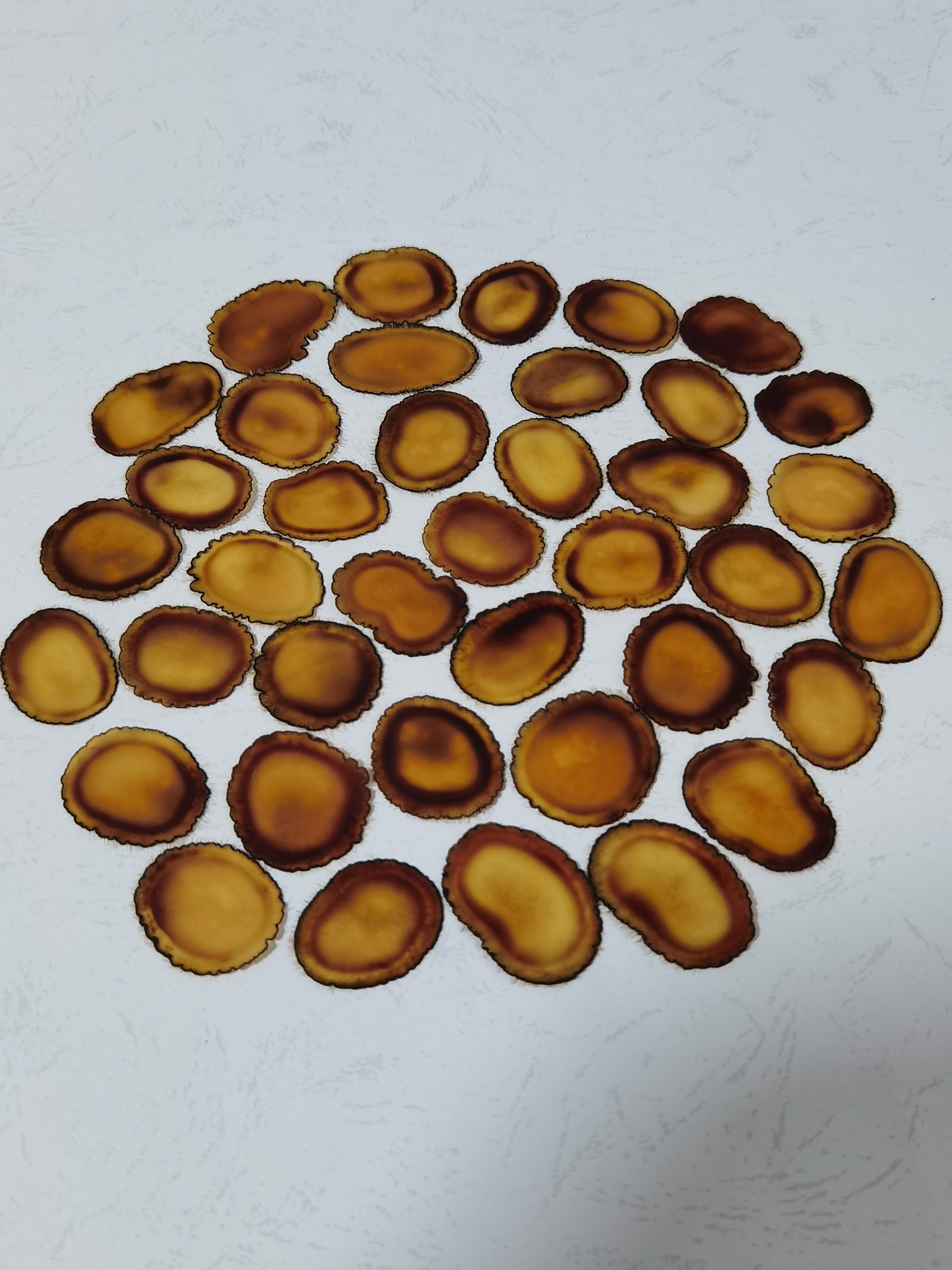 特等鹿茸全腊片 上段切片 片片含腊十足 口感软糯咸香