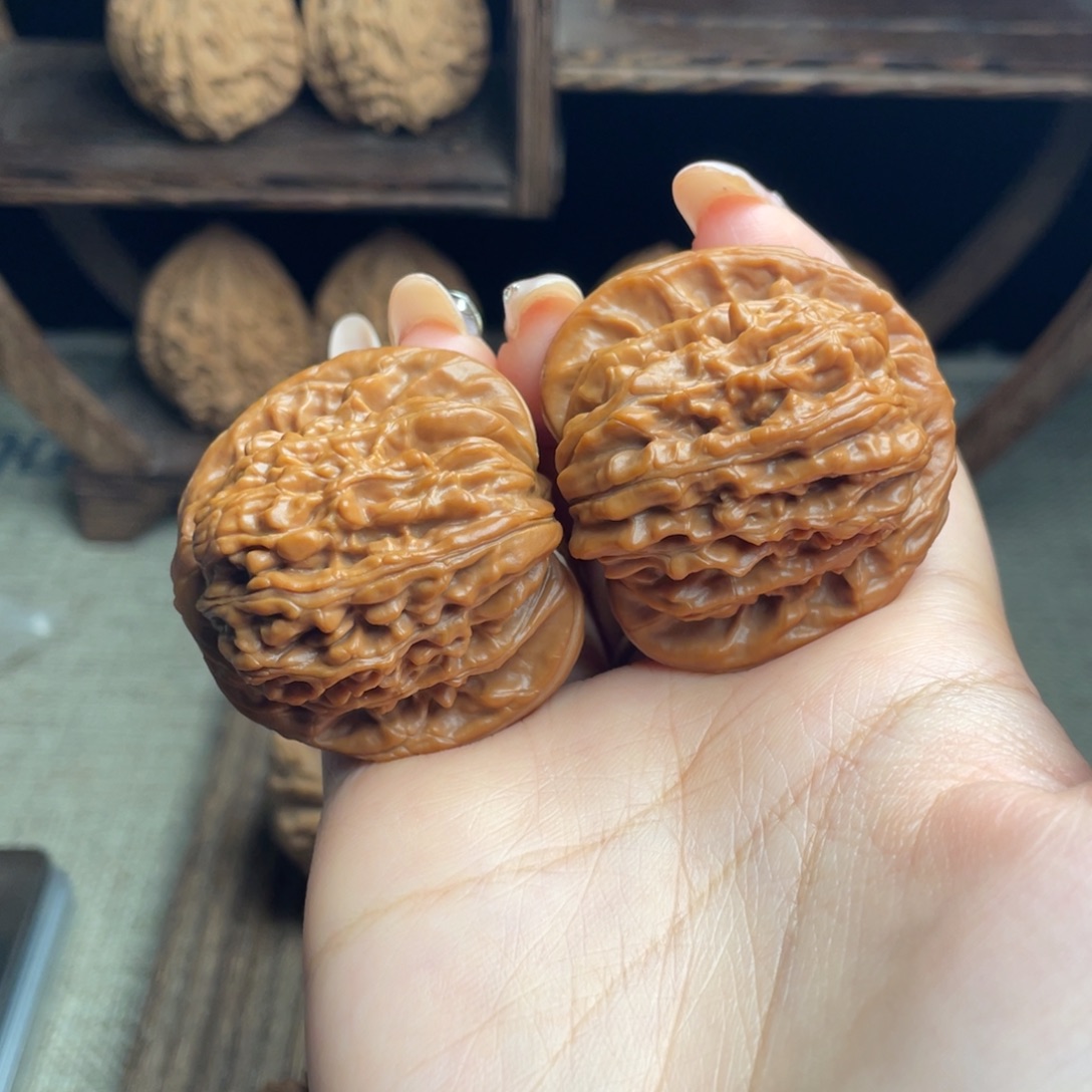 落***木质四座楼42 全品打底