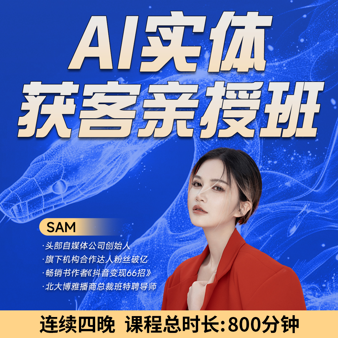 AI引流师 实体商家直播亲授班 