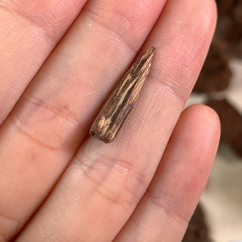 【闪购商品】沉香沉香碎屑海南沉香块料