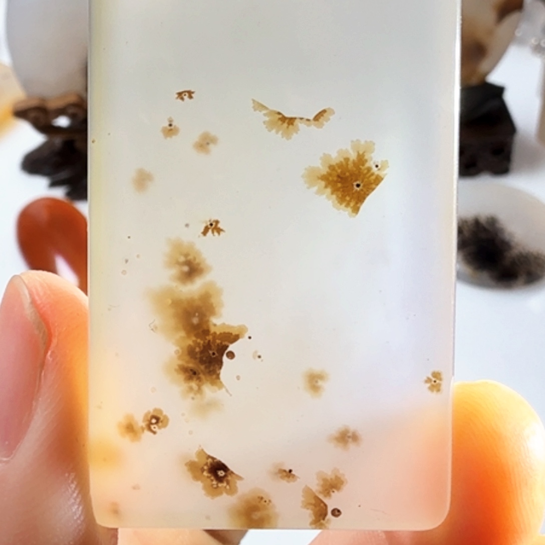 未镶嵌玛瑙/玉髓珠宝半成品
