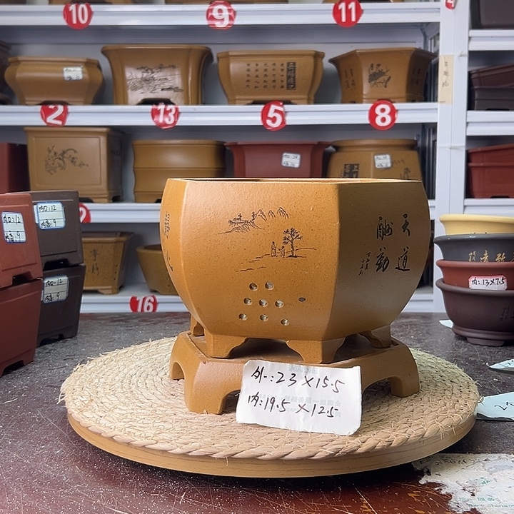 紫砂花盆蛇年大吉