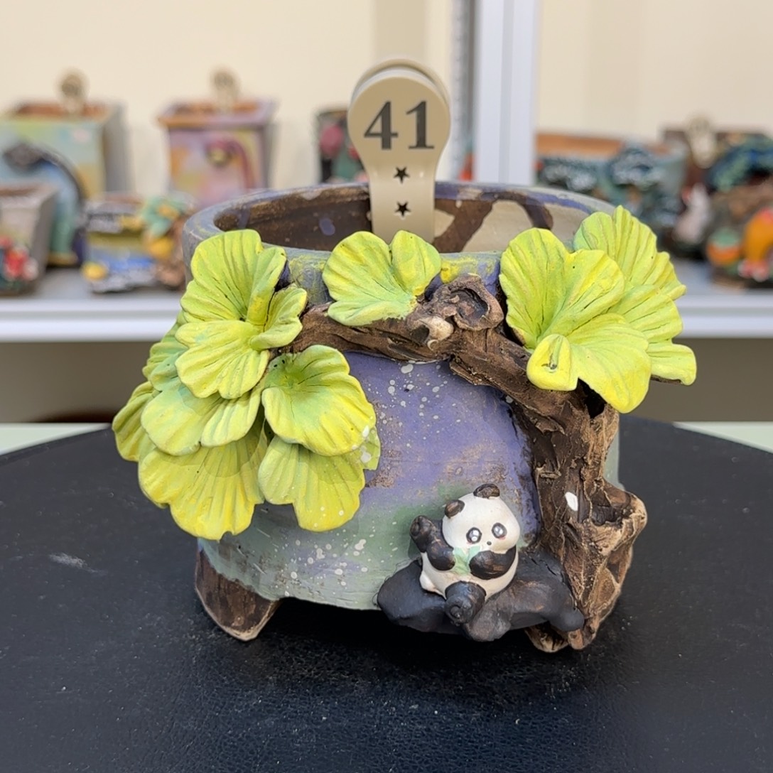 41 【闪购】多肉花盆