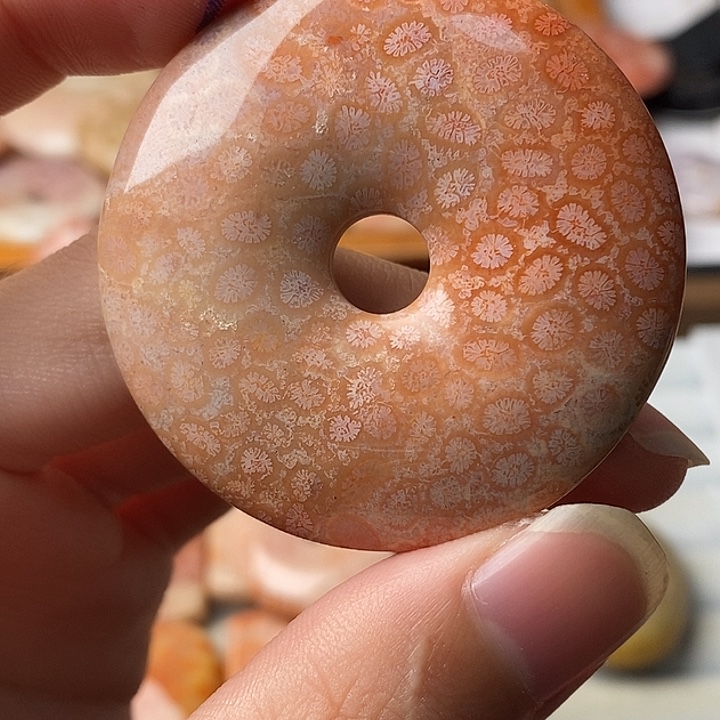 ****硅化珊瑚未镶嵌颈饰