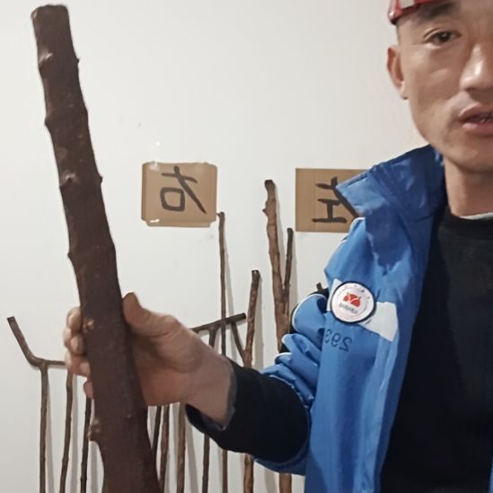 原木直播精品原木