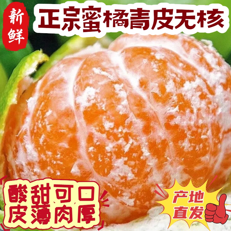 【产地直发】青皮蜜橘无籽酸甜多汁皮薄肉厚新鲜采摘孕妇水果应季