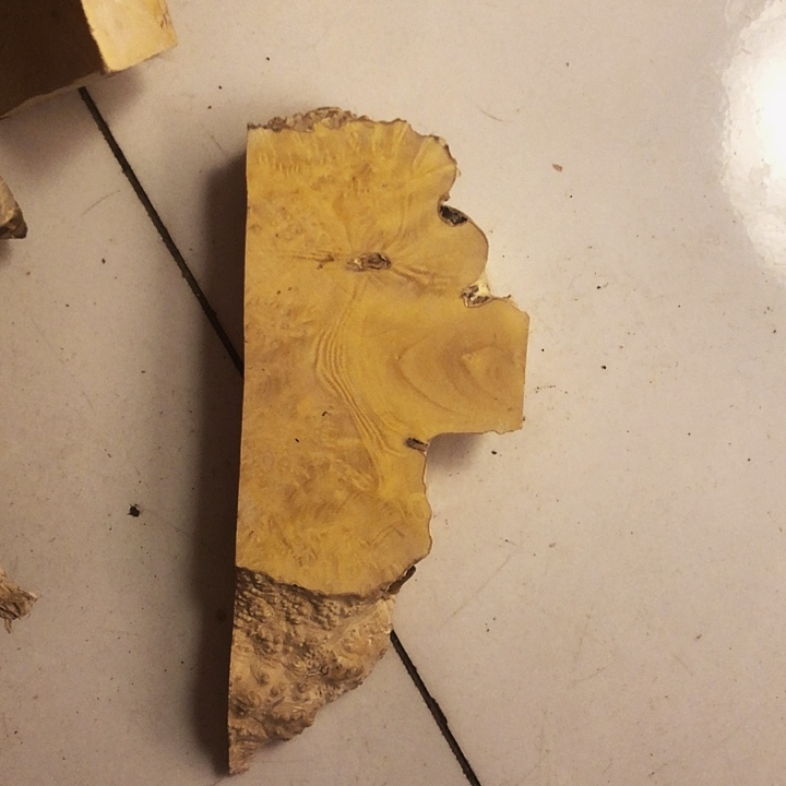 单***料木木料木料木料木料