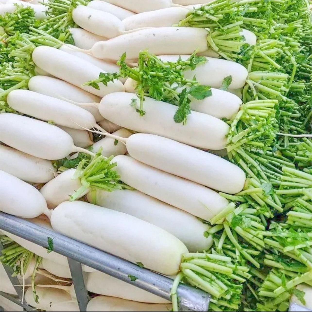 赵荣助农代卖农家白萝卜