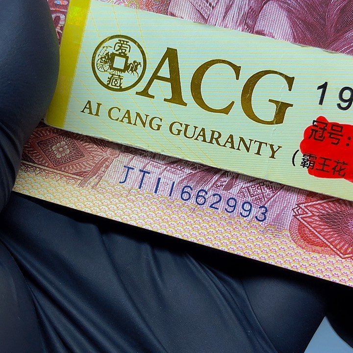 一张一张一张一张一张一张