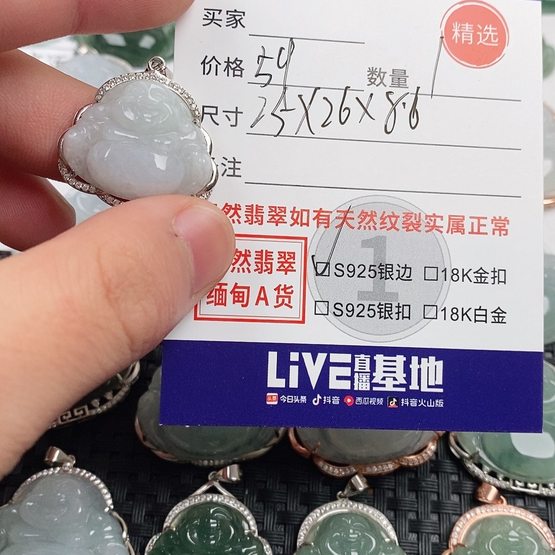 翡翠银S925镶嵌颈饰