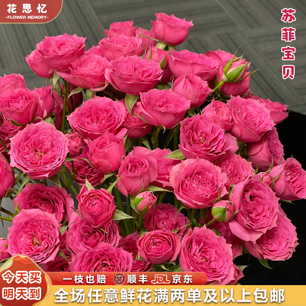 特价『苏菲宝贝』 多头玫瑰5枝 全场任意满两单鲜花顺丰京东送货上门 三单鲜花送花瓶鲜花次日达