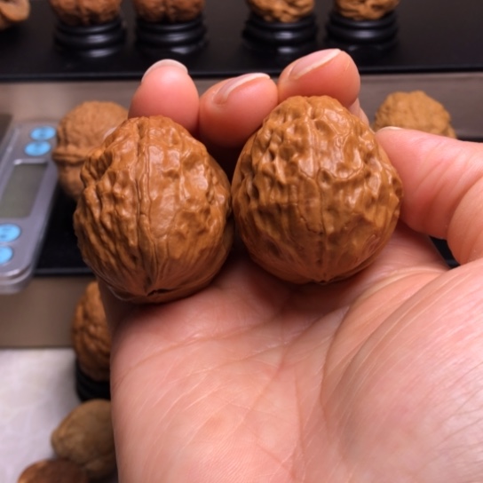 文玩核桃把件玄武大帝11