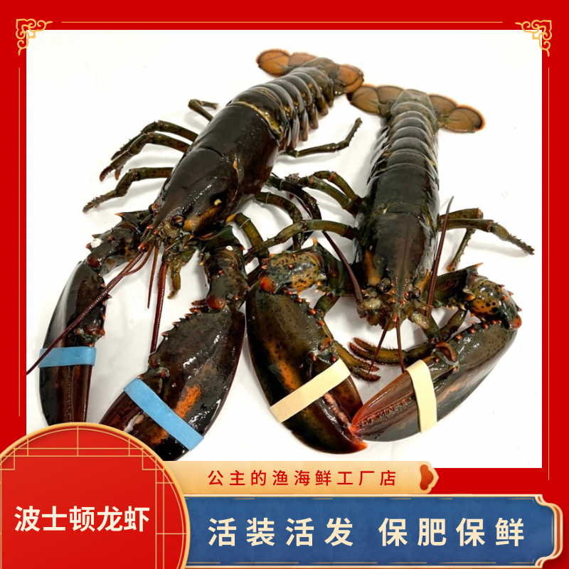【硬壳老虾】波士顿龙虾【一只起拍】单只450-1250g左右，包鲜不包活