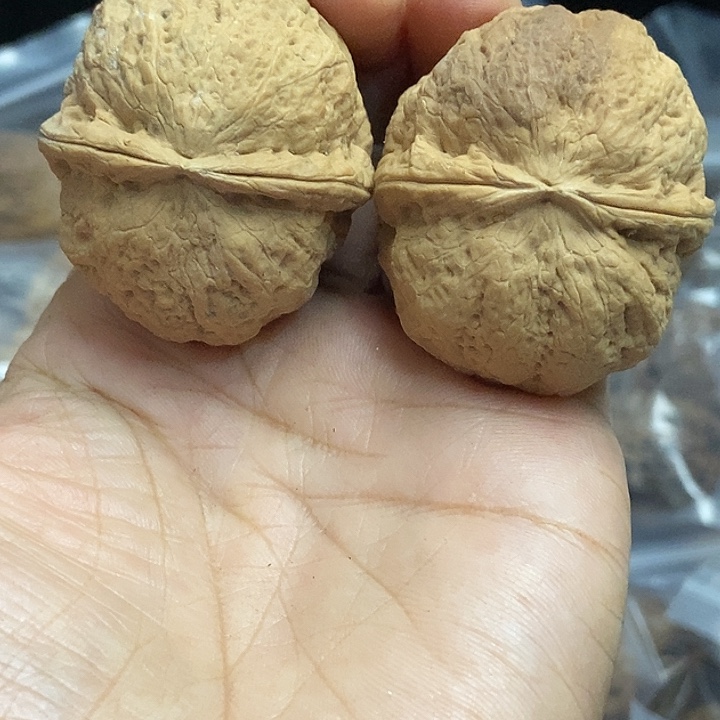 文玩核桃把件云南铁核桃基地99