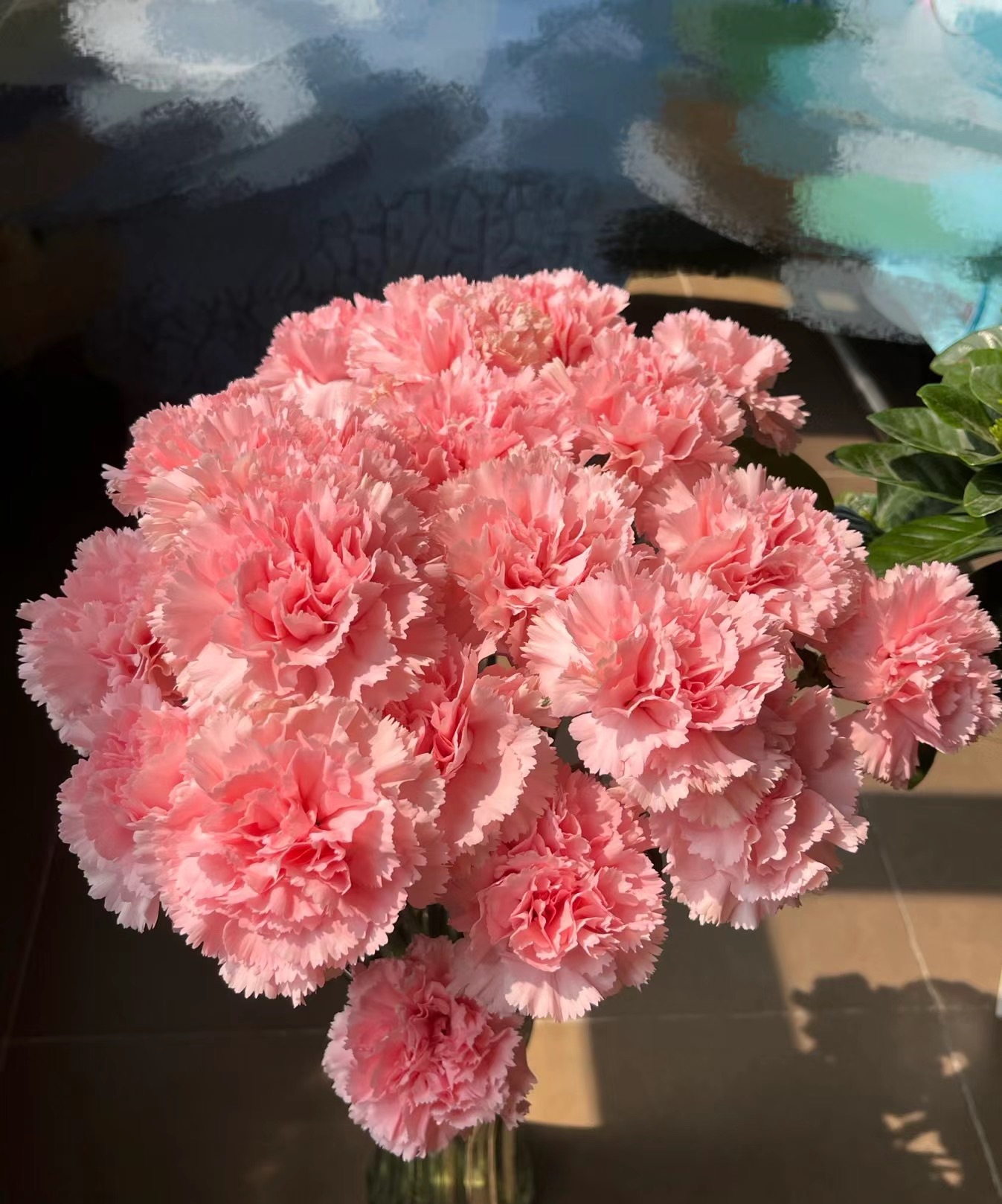 【一件包邮】 粉色单头康乃馨100支    云南  基地  鲜花