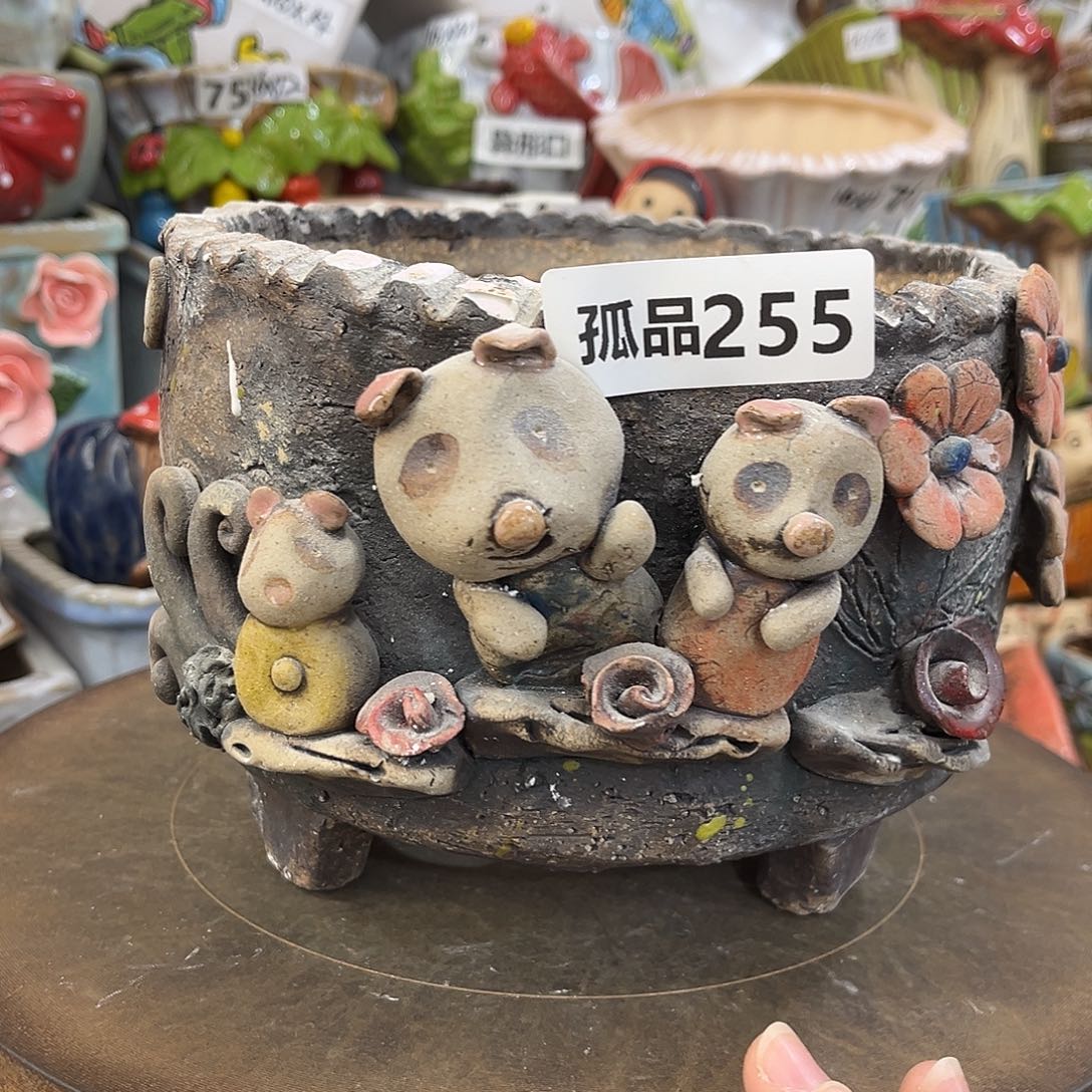 坑***木80。    孤品255。 