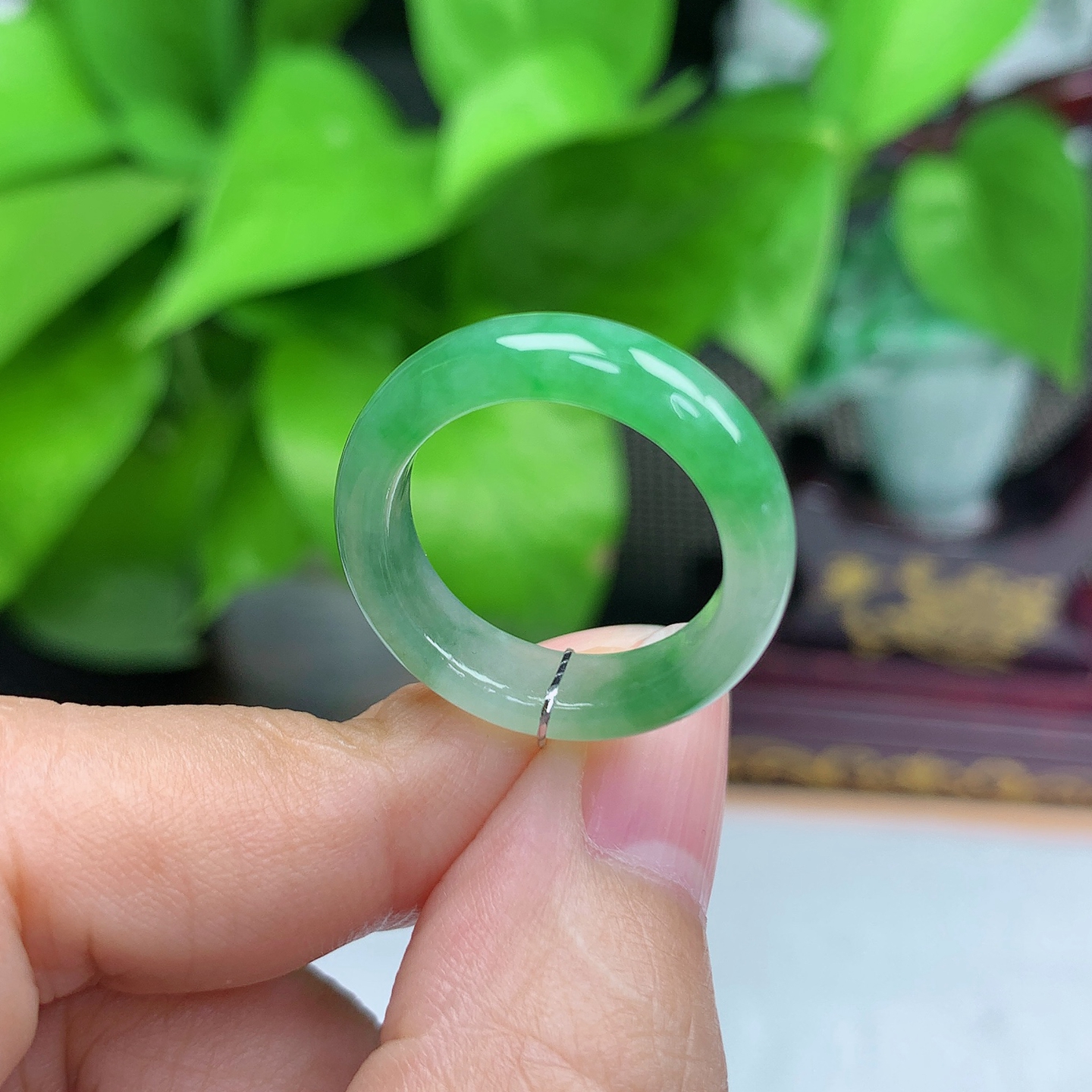 A00289天然缅甸翡翠A货冰润 冰绿 辣绿 戒圈玉戒指5圈内径17.2mm