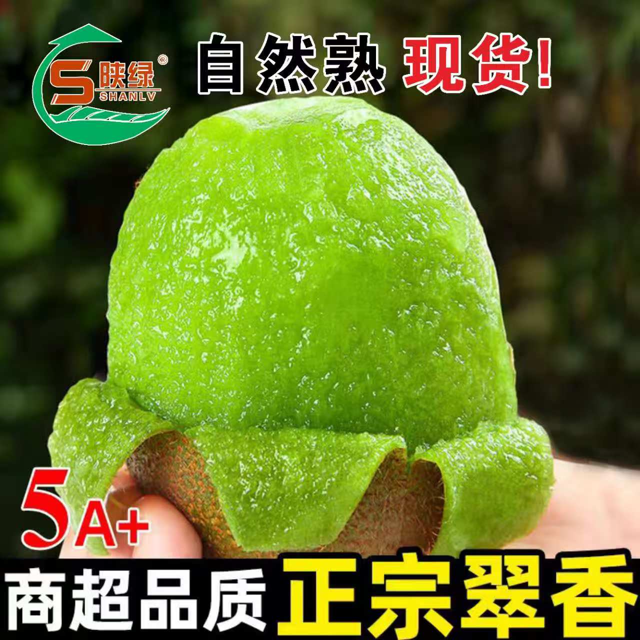 陕绿【马阳粉丝专属】周至现摘现发翠香猕猴桃24枚优选新鲜水果