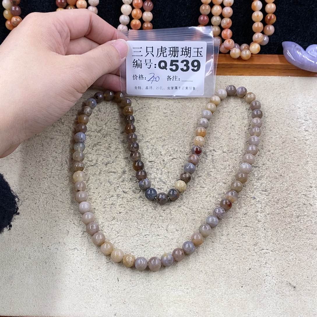 硅化珊瑚（珊瑚玉）1未镶嵌欢*