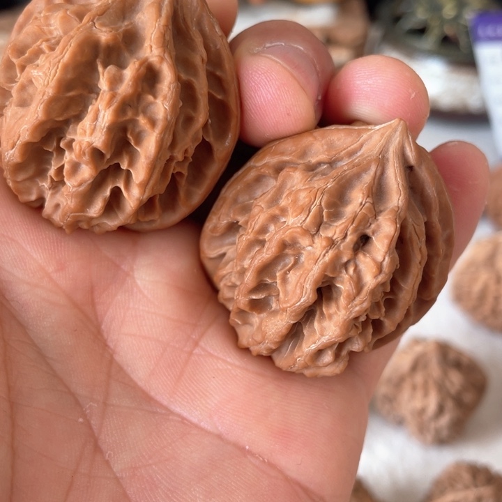 核桃其他给****里秦岭核桃种植