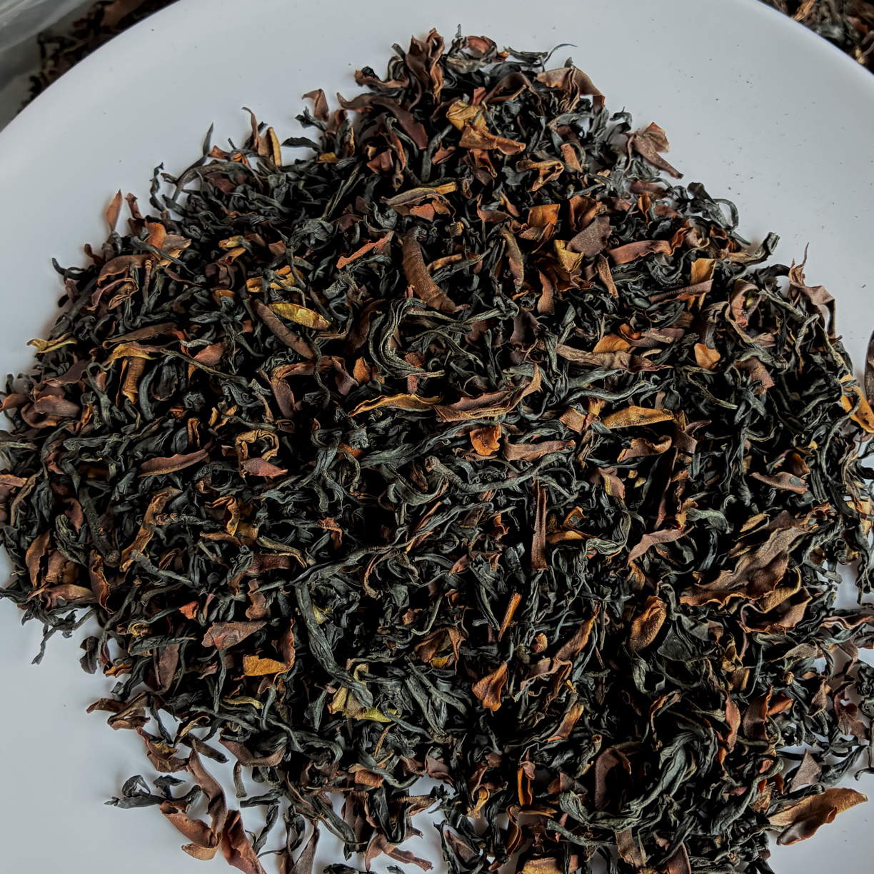 荒野独树单株野茶《千年野红》