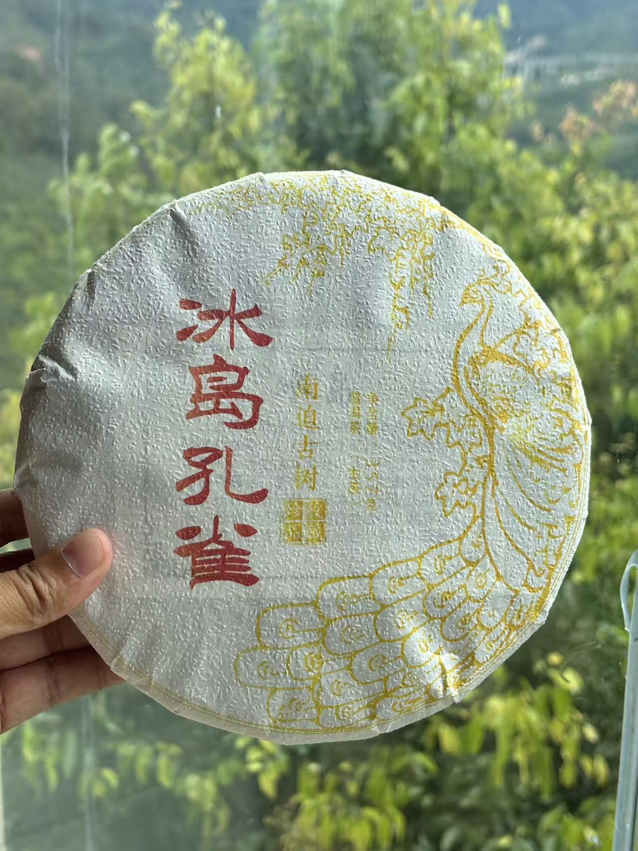冰岛南迫53号【2025年南迫春古树357克】