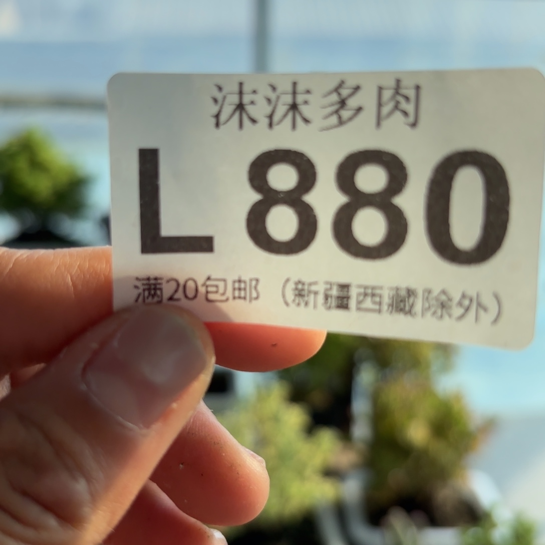 880盲拍组合fuli哦