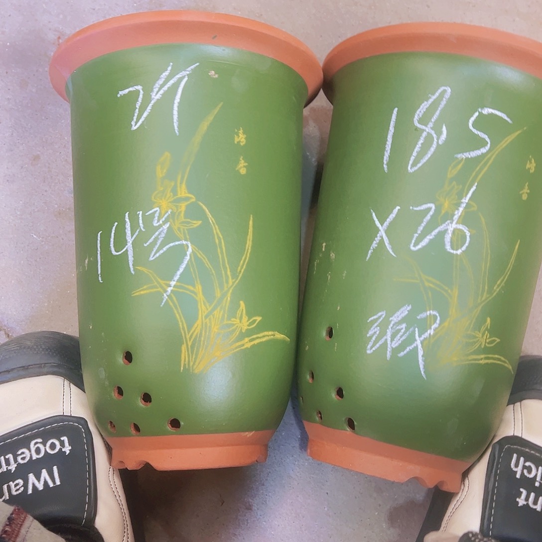 紫砂14……………………………………