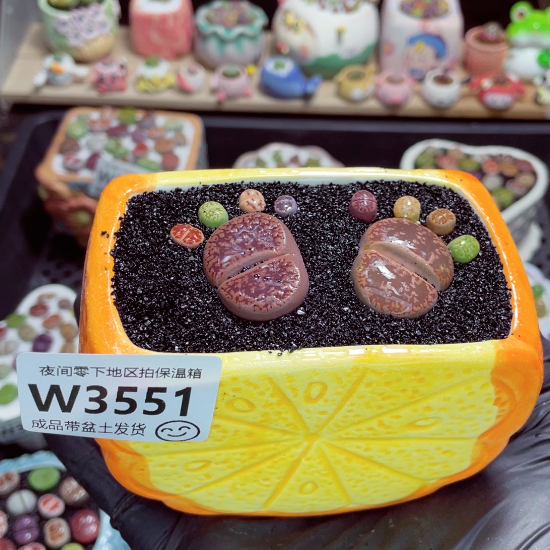 夜间零下地区拍保温箱w3551