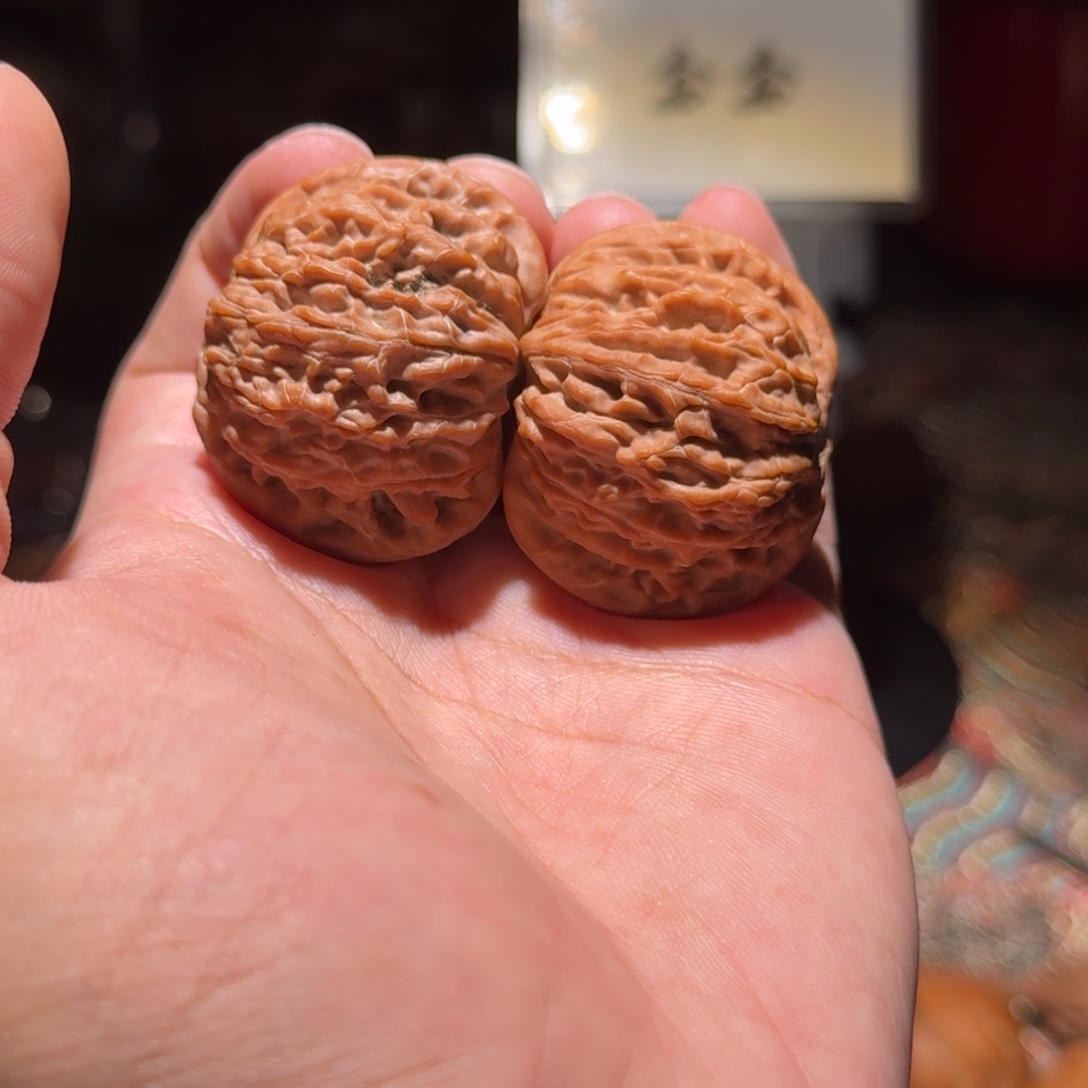 把件核桃293山地正磨，尺寸41