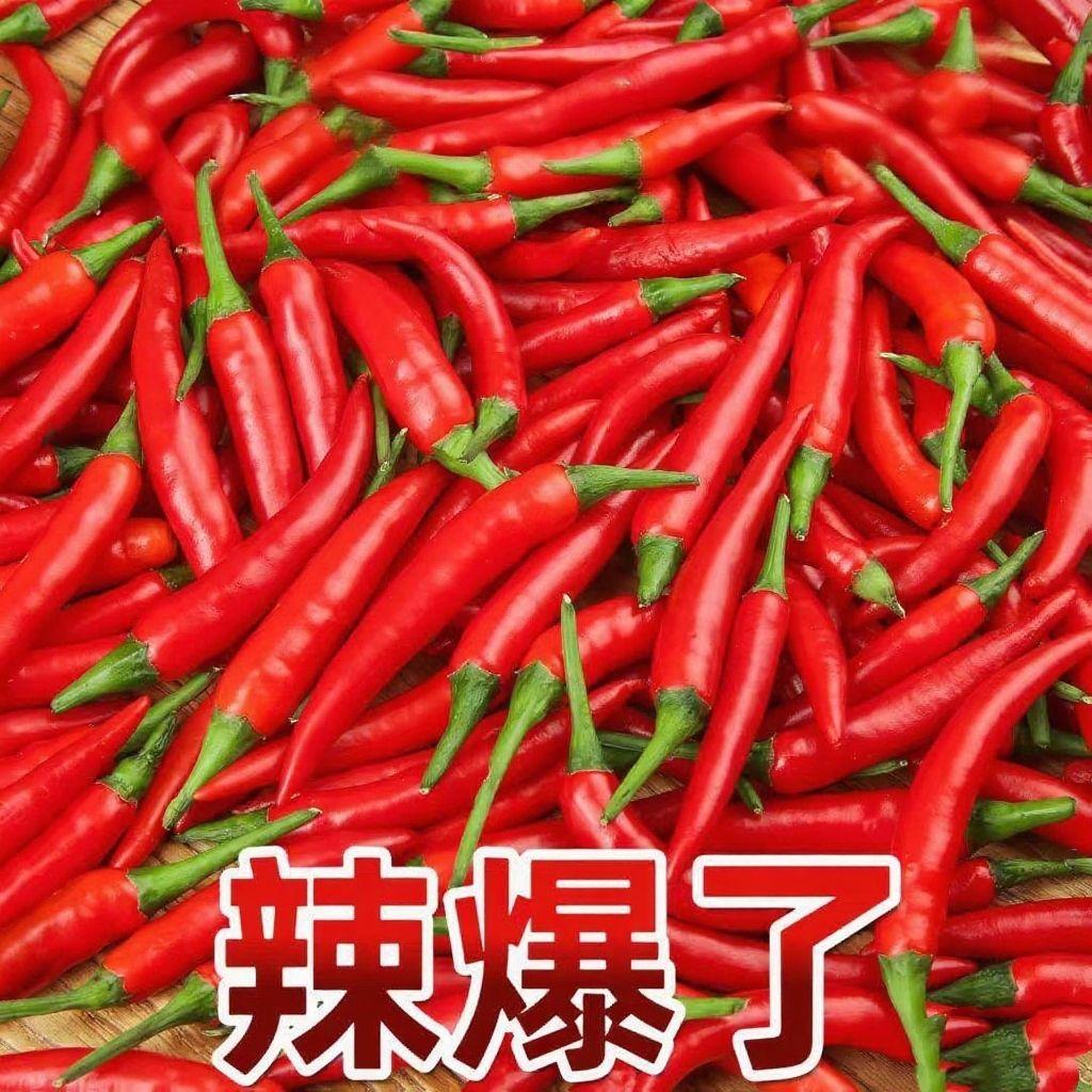 新鲜特辣云南小米辣椒现摘现发云南特辣小米椒朝天椒超辣辣椒现货